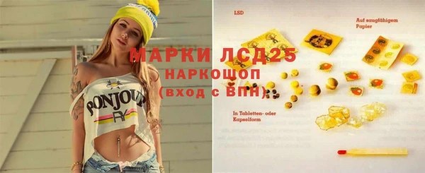 ECSTASY Новозыбков