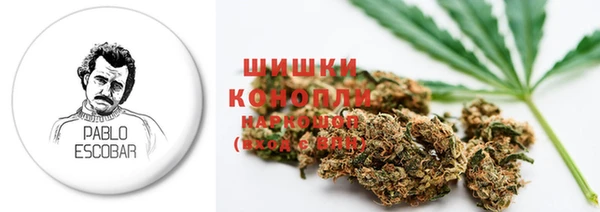 трава Новокубанск