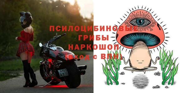 дмт Няндома