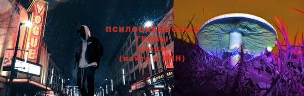 ECSTASY Новозыбков