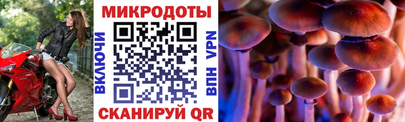 Галлюциногенные грибы ЛСД  Кудрово 