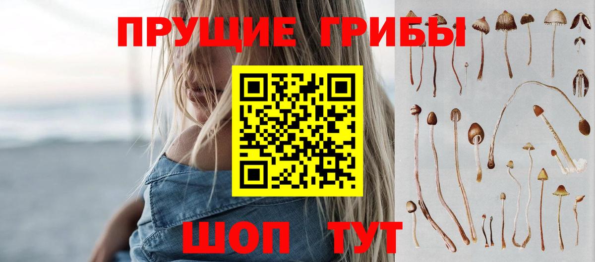 Псилоцибиновые грибы мухоморы Кудрово