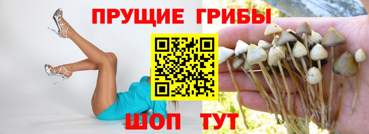Псилоцибиновые грибы мухоморы  Вход с VPN  хочу наркоту  Кудрово 